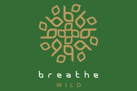 logo that reads breath wild and resembles a flower
